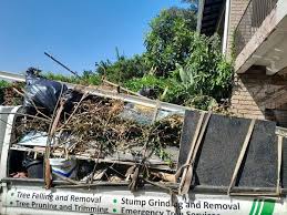 Best Yard Waste Removal  in South Park, WY