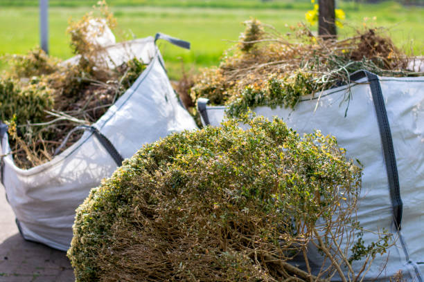 Best Moving and Downsizing Cleanouts  in South Park, WY